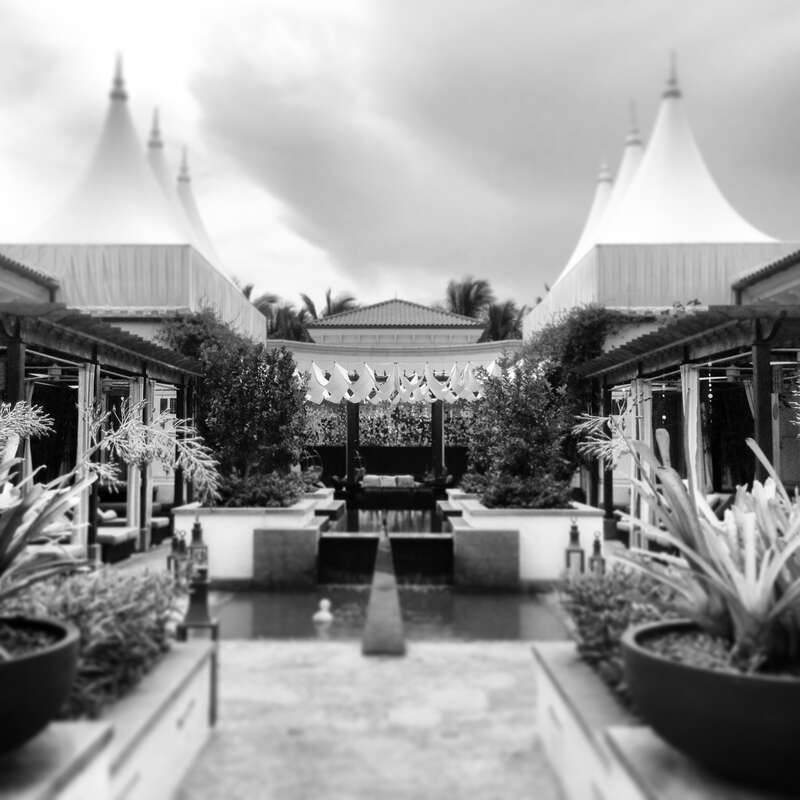 Self Centered Garden