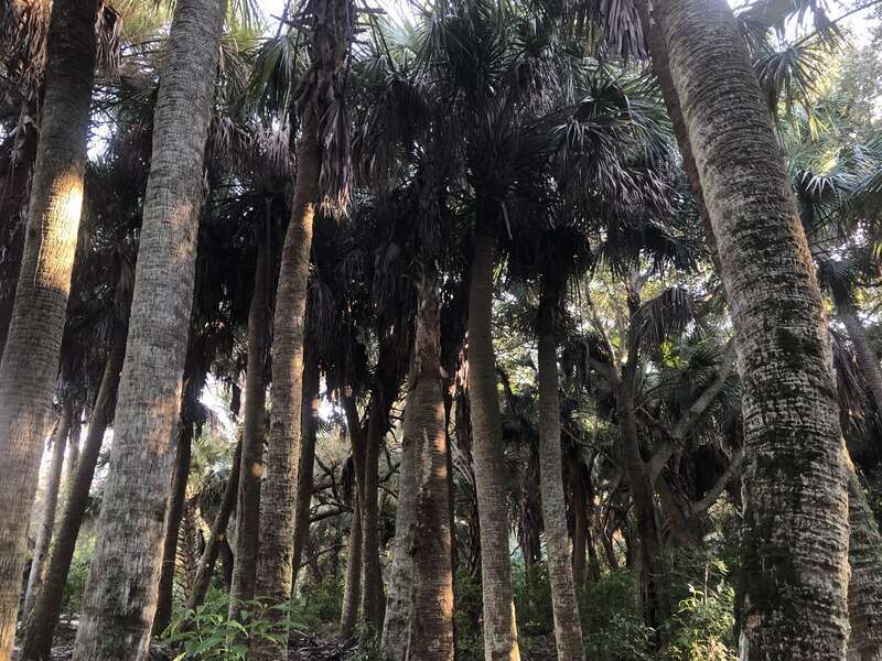 Palm Beach County, Florida