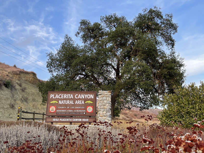 The front entrance to Placerita Canyon State Park, which features a large coast live oak and California buckwheat.