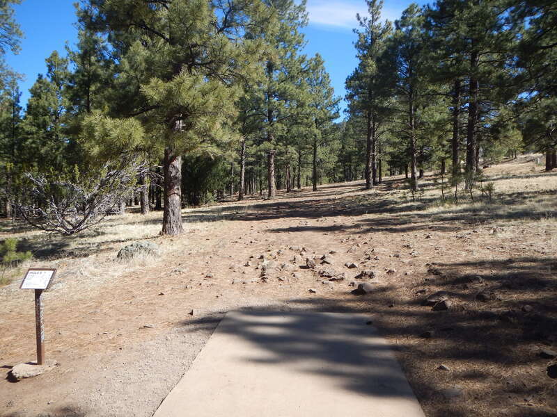 Hole #6 at McPherson Disc Golf Course