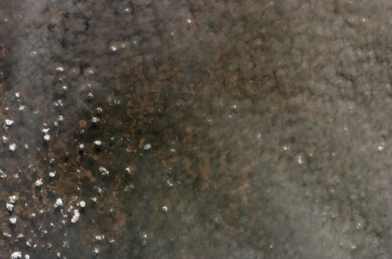 View of The State of Georgia taken during ISS Expedition 15.