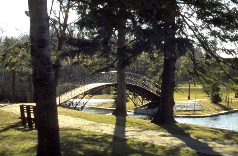 The Iron Bridge in Elm Park, Worcester, MA. Seen through the pine trees.