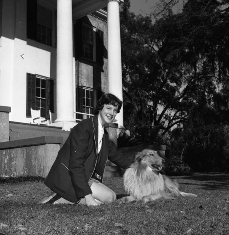 Persistent URL: floridamemory.com/items/show/260734
Local call number: TD00215F
Title: Jane Brevard Collins, daughter of Governor LeRoy Collins, with family dog at &quot;The Grove&quot; in Tallahassee, Florida
Date: January 2, 1957
Physical descrip: 1