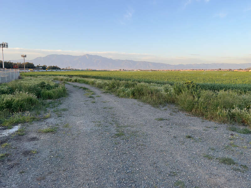 An agricultural field in Jurupa Valley next to I-15. Mount Baldy can be seen in the background.