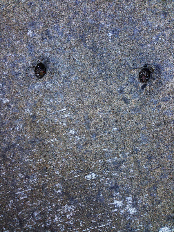 Copyrights by Walter Willimann aka Mimizane
Kansas City MO, USA