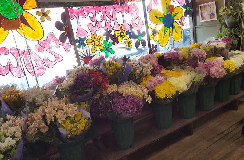 The Capital District Tourism Gnome visited the Lark Street Flower Market in Center Square, a neighborhood in Albany, New York near Washington Park.