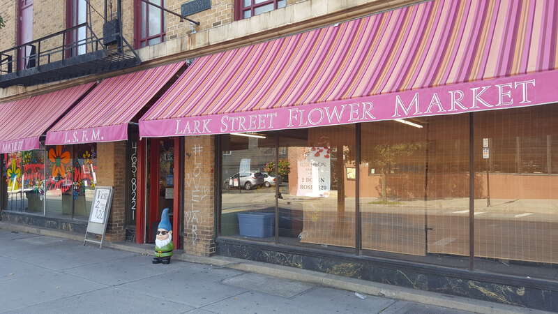 The Capital District Tourism Gnome visited the Lark Street Flower Market in Center Square, a neighborhood in Albany, New York near Washington Park.