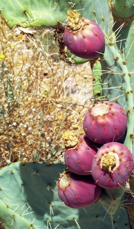 This is an image of a place or building that is listed on the National Register of Historic Places in the United States of America. Its reference number is 78001719.