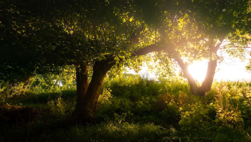 First time I've been able to get out and shoot in Croydon Creek Nature Center since Covid started.

My son is visiting from Pittsburgh and we wanted a place to be away from people and I wanted to try my new Freewell variable ND filters, so it seemed