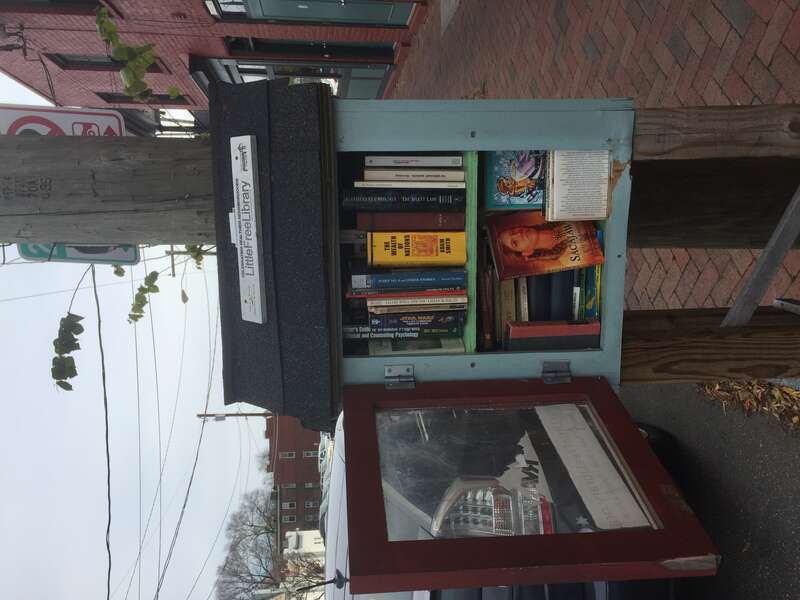 Little Free Library in Richmond, Virginia (Church Hill area)