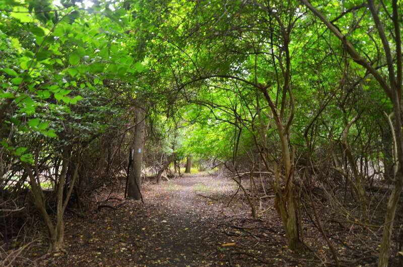 Mentor Marsh Nature Perserve