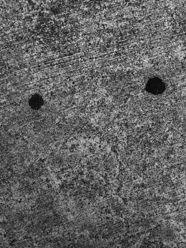 Copyrights by Walter Willimann aka Mimizane
Chattanooga TN Charleston SC