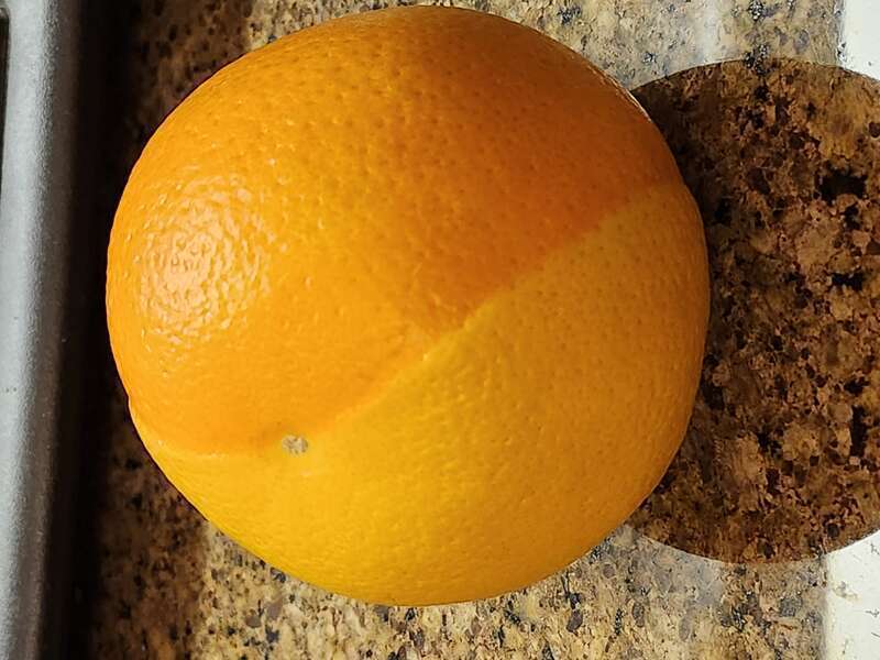Natural Genetics variation causes Orange Lemon Vision