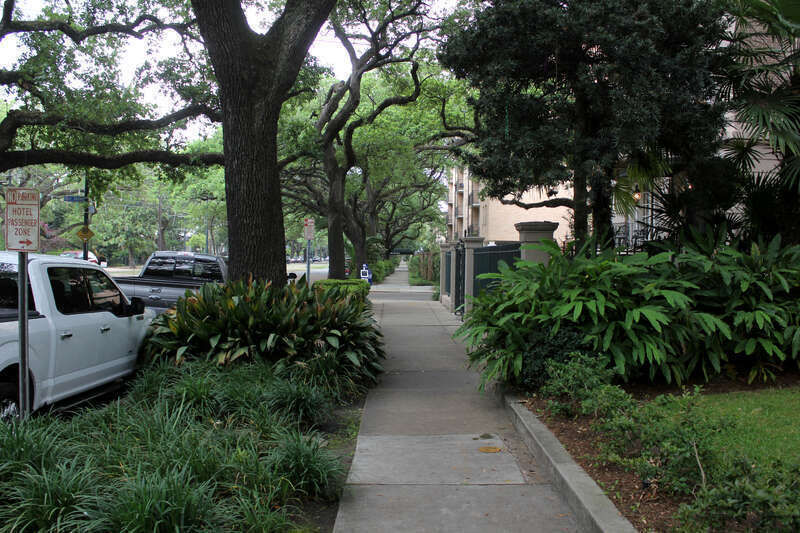 New Orleans, LA - Uptown Sidewalk