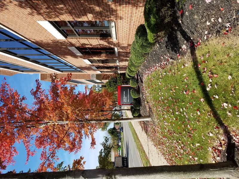 The Ohio State University