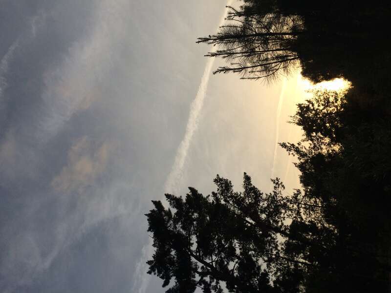 California, USA - April 2016

Orange County, California