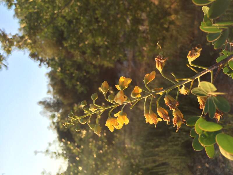 California, USA - April 2016

Los Angeles