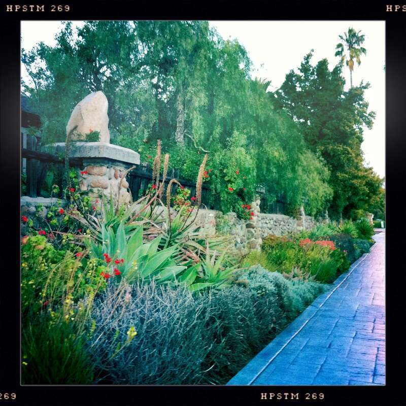 This photo shows one of the remaining portions of the original stone wall of Mission Cliff Gardens. The wall was over 100 years old at the time of this photo in 2011.