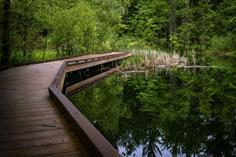 Clear reflections in Arbury Pond at Chippewa Nature center.  It was starting to rain, so a longer exposure smoothed out most of the raindrop ripples.  A polarizer was also used to cut any glare.