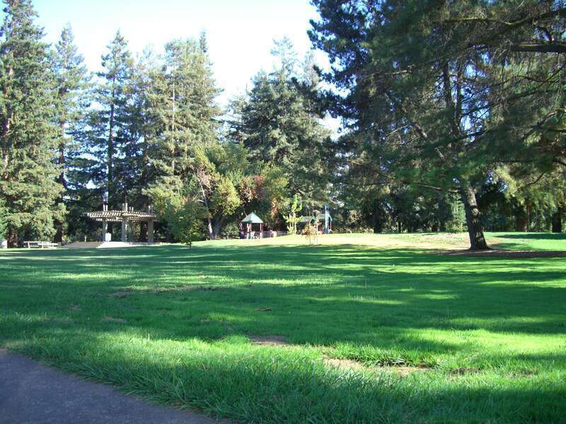 park grass before playground