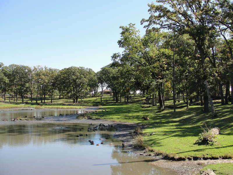 The elk enclosure at Phillips Park Zoo in Aurora, Illinois.