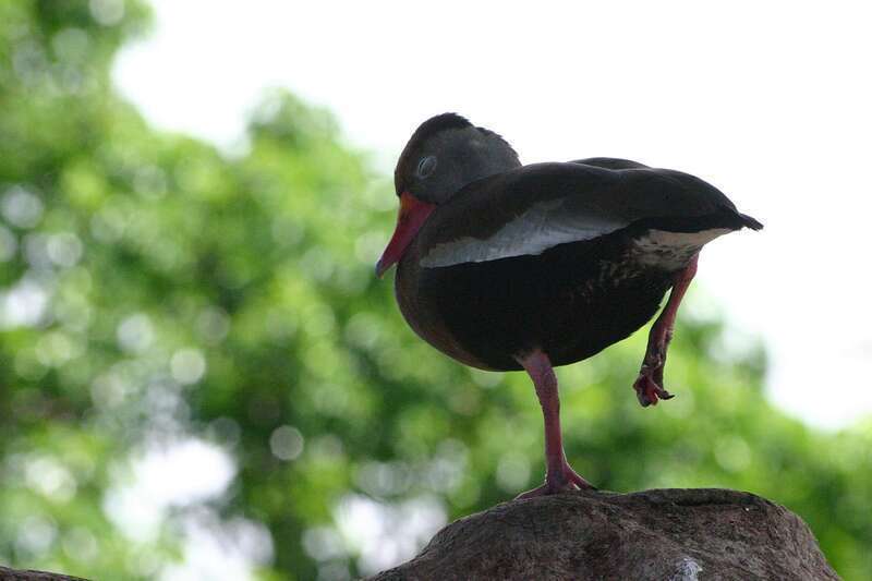 Princess Caribbean Cruise - Day 8
