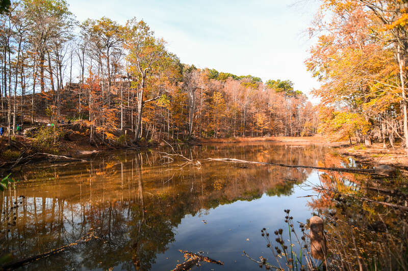 Rocky River Reservation