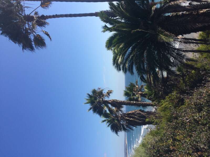 California, USA - September 2016

San Diego in September 2016