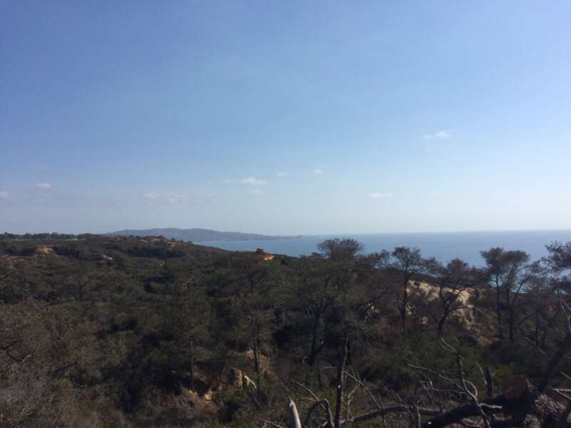 California, USA - September 2016

San Diego in September 2016