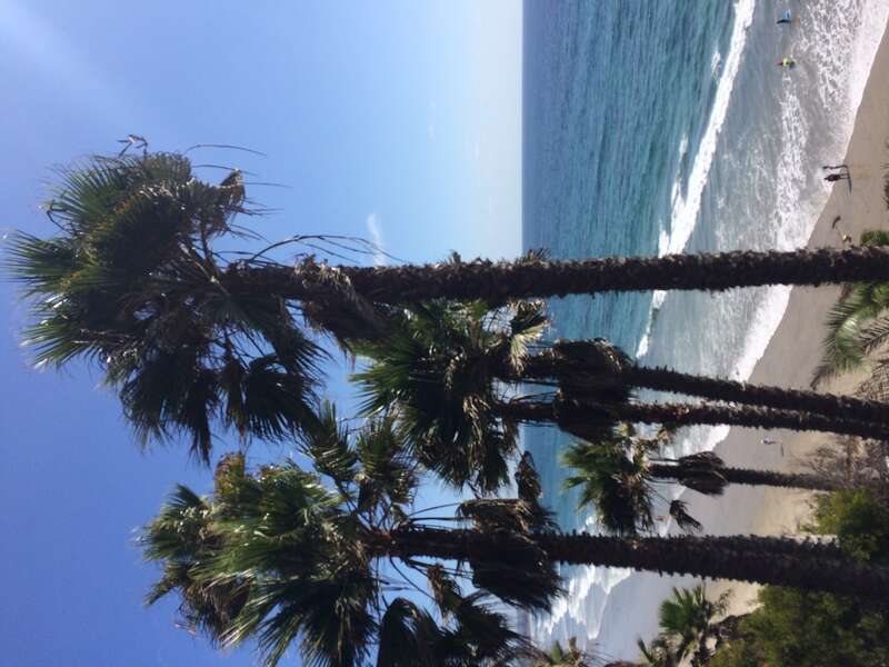 California, USA - September 2016

San Diego in September 2016