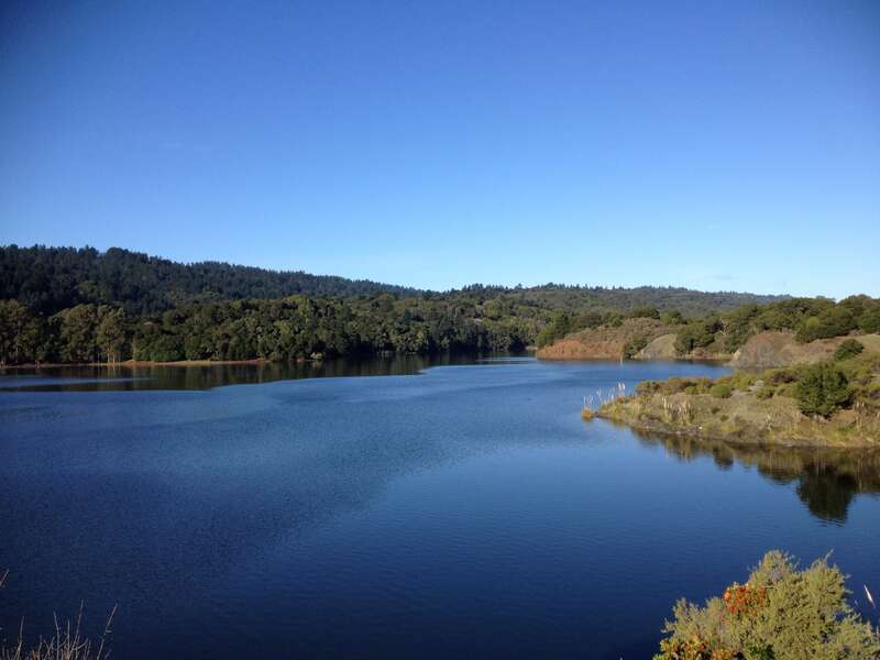 Yesterday it rained like crazy up here.  A nearby weather underground station recorded 2.87 in.