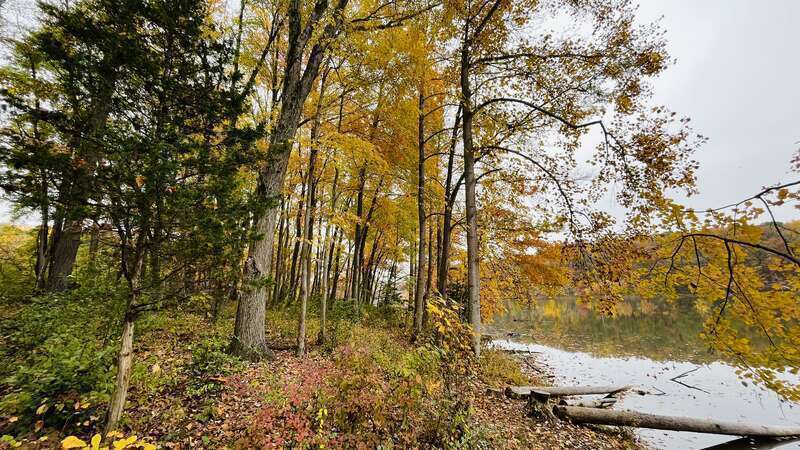 Fall foliage in Seneca Creek State Park