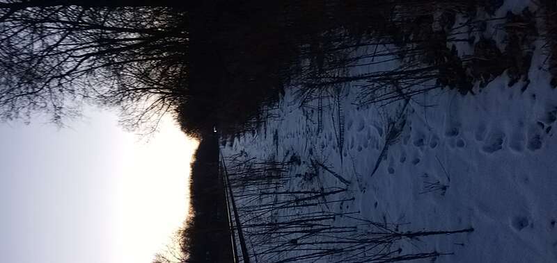 Looking west in between Division Ave. and Bald Eagle Ave. in White Bear Lake. The ex Soo Line, now CN Railway.