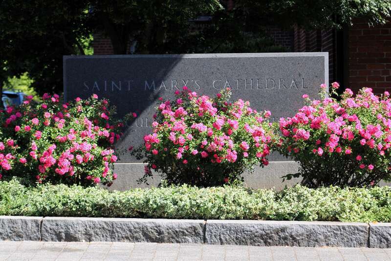 St. Mary's Cathedral of the Immaculate Conception in Portland, Oregon.