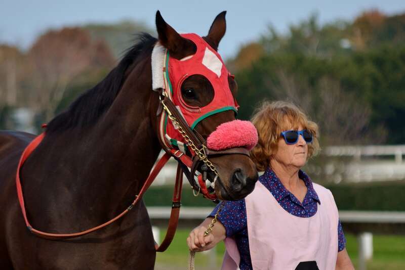 DSC_1202

 Suffolk Downs October 27, 2012