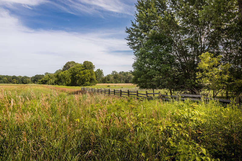 Just a a countryside picture from the Chippewa Nature Center on a very pleasant summer afternoon.