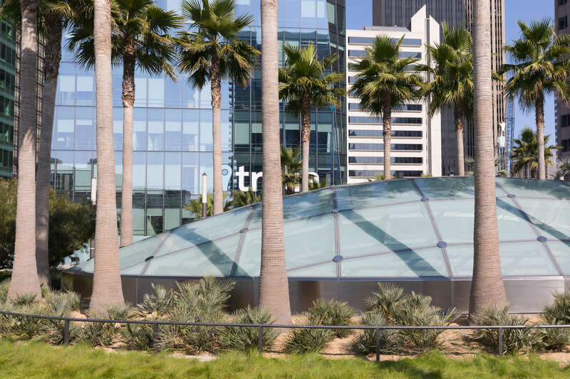 Transbay Transit Center in San Francisco, on the day after the opening: palm trees in the park on top of the bus terminal