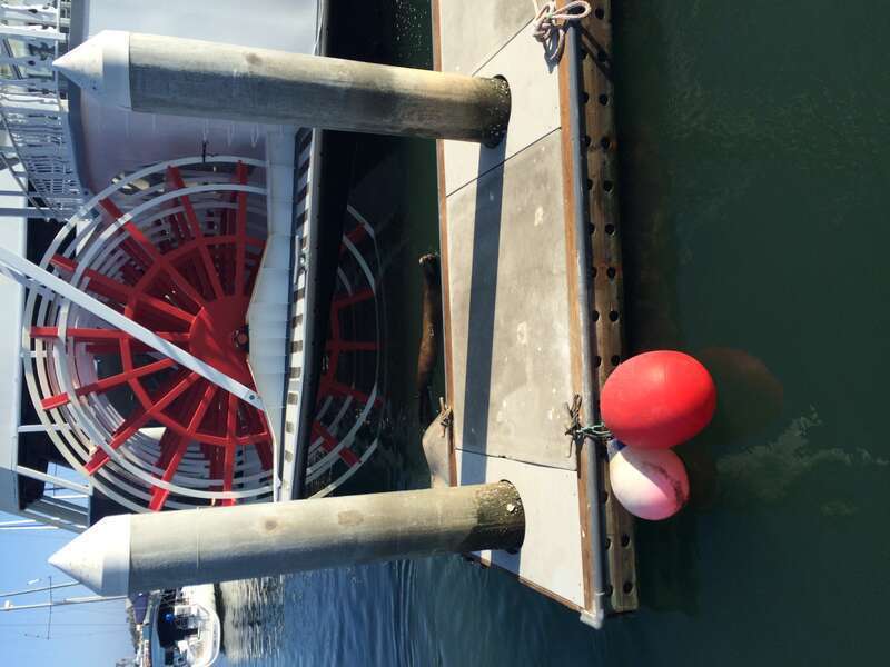 California, USA - August 2016