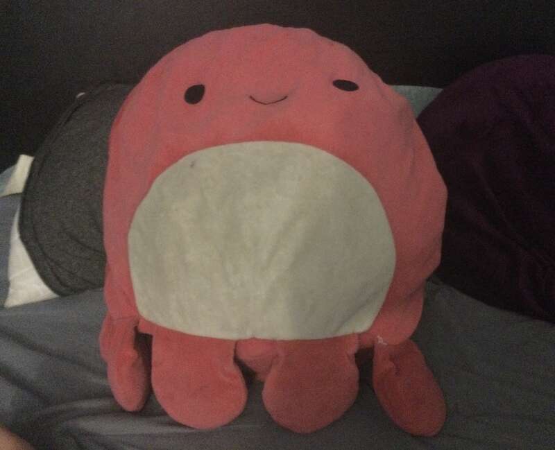 A photo of Veronica the red octopus. She is red and has a white tummy. She is female. She has black eyes and a happy face.