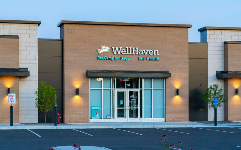 Well Haven Pet Health and Pet Camp Woodbury, an animal veterinary hospital chain with a dog daycare service, at 700 Commons Drive in Woodbury, Minnesota.
