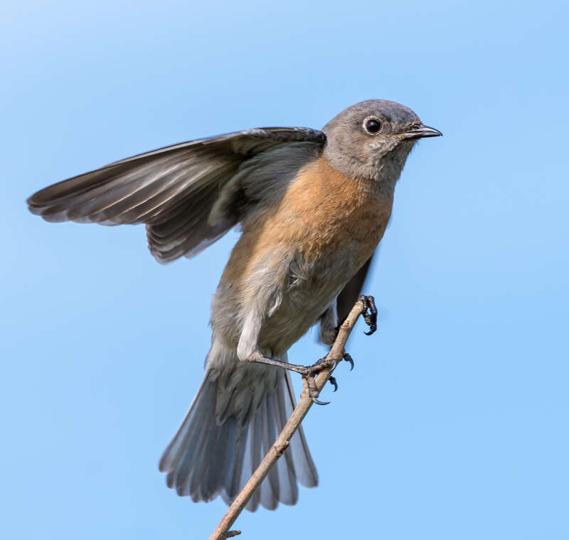 Point Pinole Regional Shoreline, Richmond, California