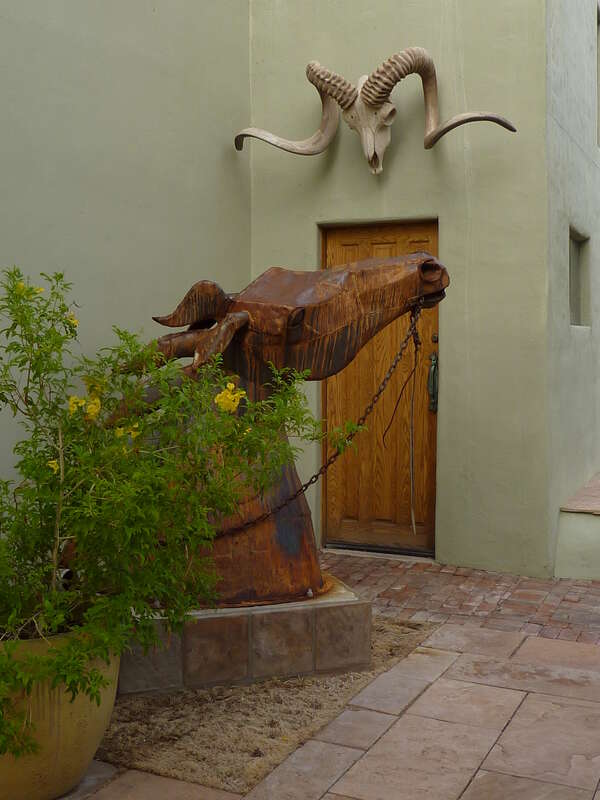 Big Horse, Bighorn