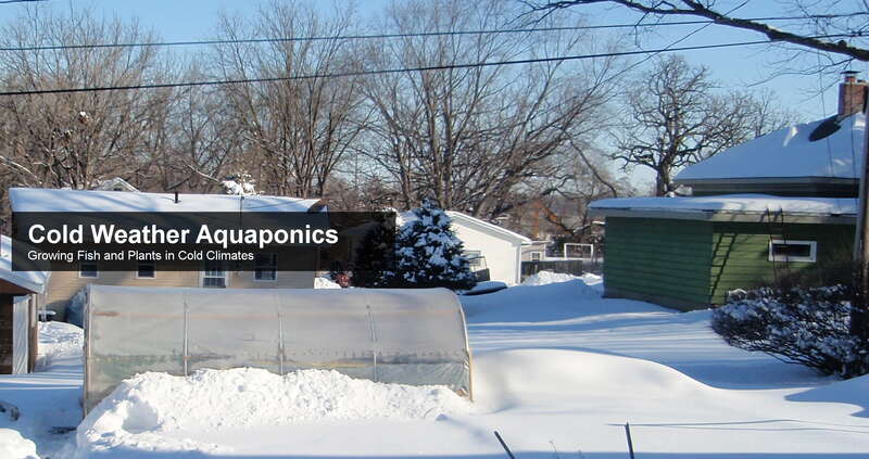 This is the logo for Cold Weather Aquaponics