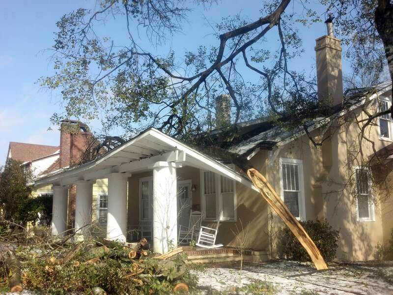 Ice damage 2014 (Augusta GA)