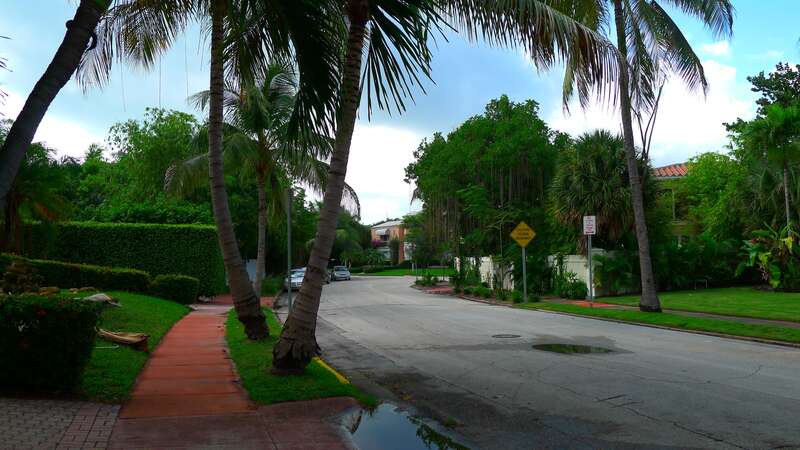 Miami Flamingo Drive
