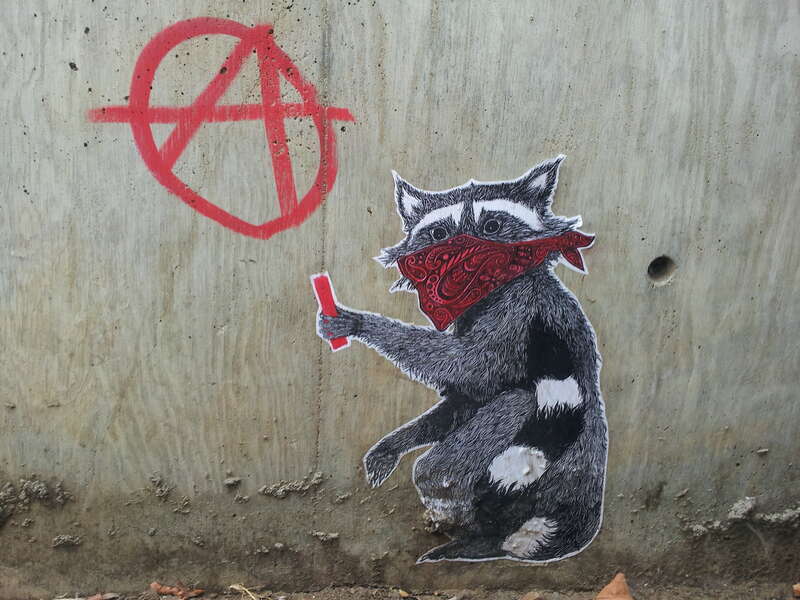 A wheatpaste of a raccoon painting a &quot;circle-A&quot; anarchy sign on the side of a building near the UC Berkeley campus.