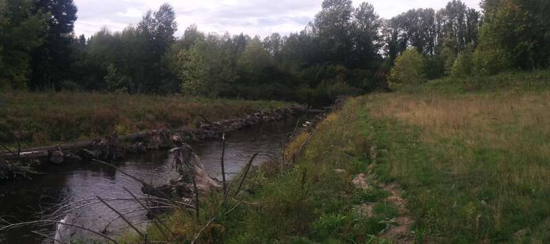 Confluence of Bear Creek and Sammamish River in Redmond, Washington.