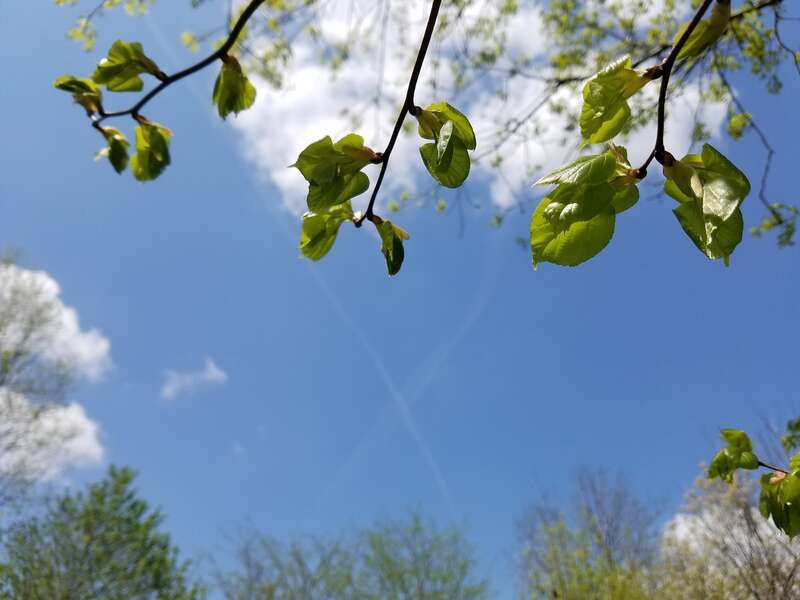 Arboretum North
The Ohio State University

Columbus, Ohio