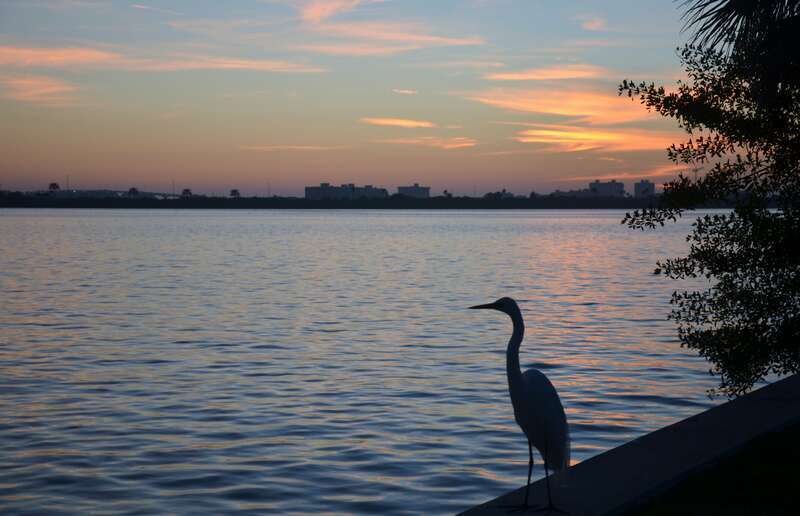 Clearwater,Florida,USA.