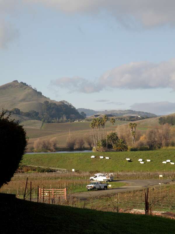 Domaine Carneros, Napa Valley, CA USA